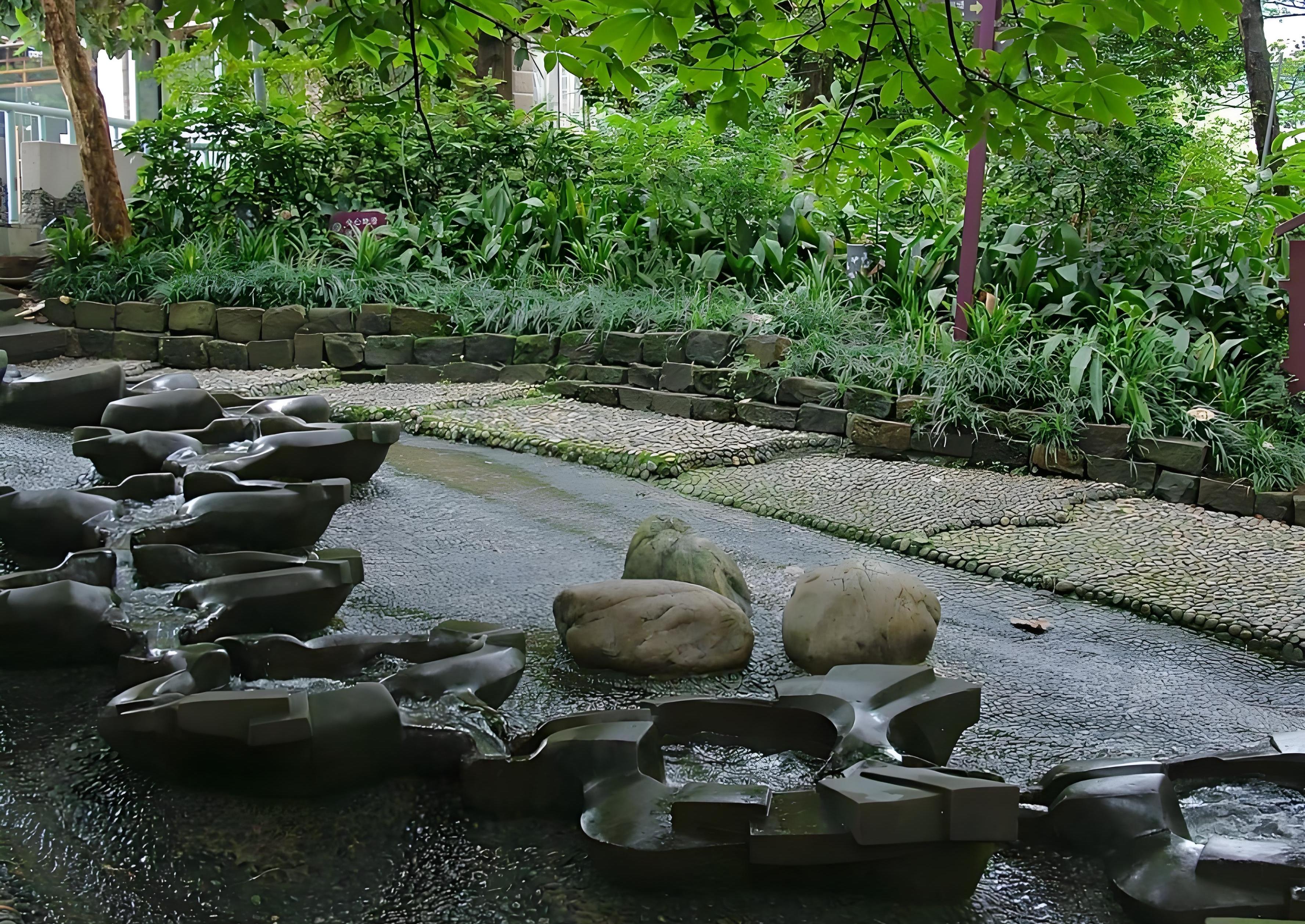 绿化设施如何长期有效预防青苔